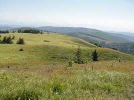 Dolů jsme šli terénem