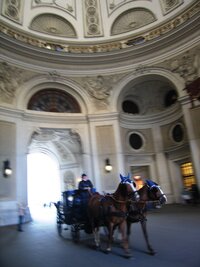 a vstupní aula sama