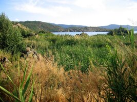 Za okrajem kráteru je polopoušť!