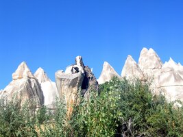 O pařezu, který chtěl být tufem