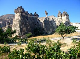 A ještě jitro v Sognoli