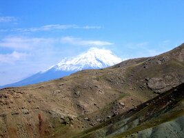 Fintivý Ararat - inu, je to skutečná Star!