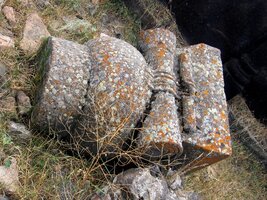 Nešťovice od lišejníků