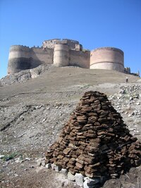 Hošap za sušenými kravskými... briketami