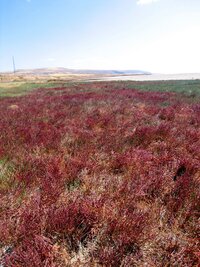 Turecké Salt Lake - jezero Tuz
