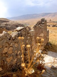 Už je to dávno - ruiny v bodláčí