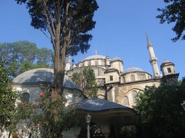 Mešita Fatih - centrum istanbulského fundamentalismu (a sídlo stovek koček)