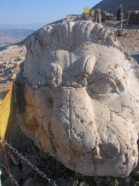 Lev-strážce už se asi párkrát porval