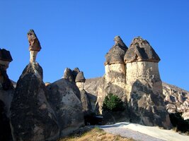 Hřiby v údolí Sognoli