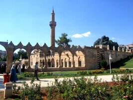 A Abraham odsurfoval do bezpečí okolních zahrad