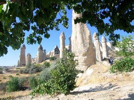 Ještě jednou totéž z křoví