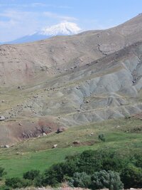 Ararat s biblickým popředím