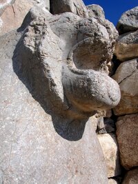 Lví tlama ve Lví bráně