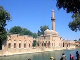 Zákaz chytání posvátných Abrahamových kaprů pod trestem oslepnutí