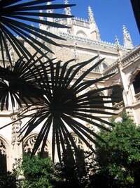 Křížová chodba s palmami