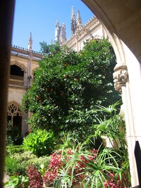 a exotickou květenou