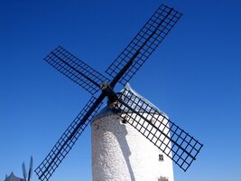 Zdá se, že jsou nesmrtelné.. právě jako on