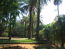 Imprese světla a přelud oázy