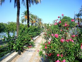 Exotická květena v nábřežních parcích