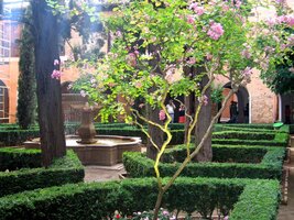 a strom se zlatými jablky