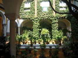 i ve stinných patiích domů