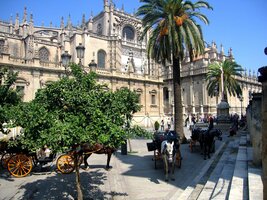 Od parkoviště koňských kočárů