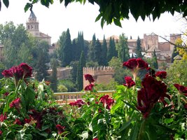 Masivní věže Alcazaby za křehkou krásou květů