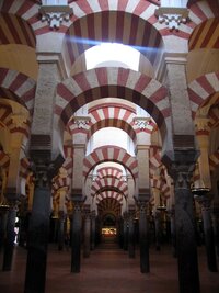 Těch je tu 852 na ploše dvou fotbalových hřišť