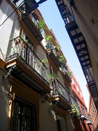 Květiny na balkonech