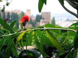 A ještě jednou s jiným zaostřením