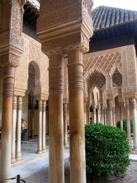 Les sloupů z maurských snů