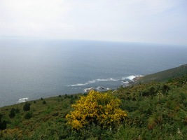 nad lehce zvlněným oceánem