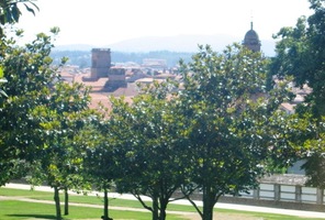 Takhle to tam vypadá začátkem června