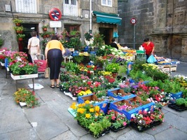 a v květinářství byste si určitě vybrali (-y)