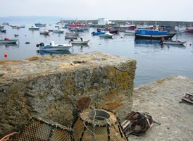 jsem jel jako masňák autobusem