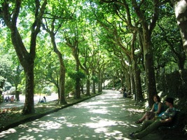 Jsou zde stinné parkové promenády,