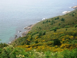 a pokračoval v cestě nad sráznými svahy