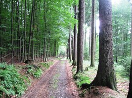 Vzduch byl opojný jako mladé víno