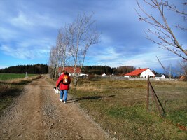 protože pes na mši nesmí