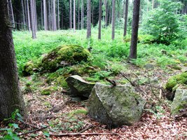 a kousek za nimi jsme zabloudili