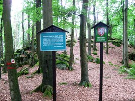 Vynořili jsme se u skály Velký kámen