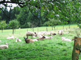 Bylo to tady jako v Betlémě