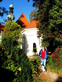 Na vrchu Havlín nad Zbraslaví stojí kostel sv. Havla