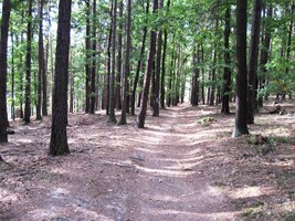 Kostel sv.Jakuba ve Zbraslavi byl zavřený a tak jsme šli dále