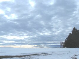 i když krajina dost připomínala Sibiř