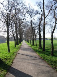 Dále jsme šli dlouhou Rybovou alejí