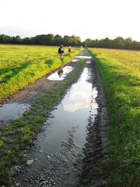 Některé cesty byly drobet vlhké,