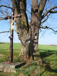 Až na její samotný konec před vsí Voltuš