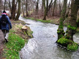 Vydáváme se proti proudu