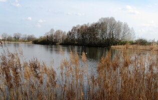 a přicházíme k Vrbenským rybníkům